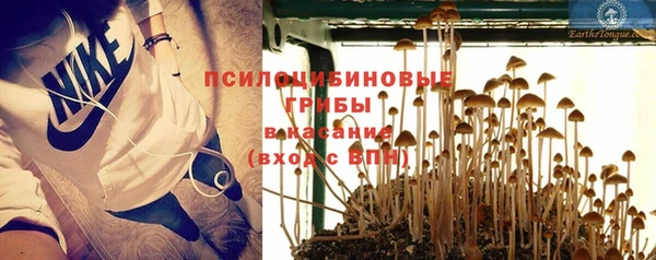 наркотики Алексин