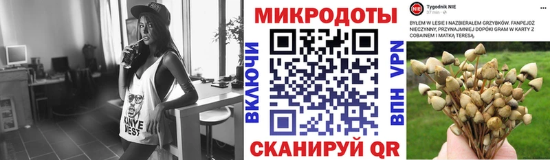 Псилоцибиновые грибы MAGIC MUSHROOMS  Кемь 