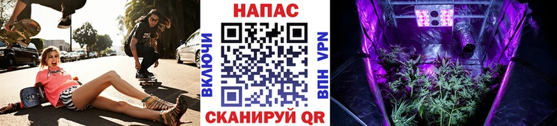 Шишки марихуана семена  Кемь 