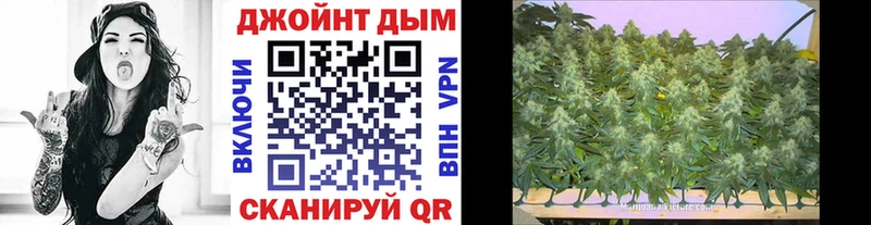 Бошки марихуана гибрид Кемь